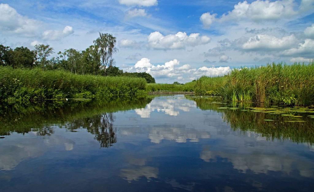 B&B Fam. Elzinga Nieuwkoop Экстерьер фото